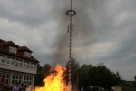 maibaum 2011 hgg