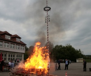maibaum 2011 hgg