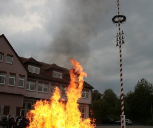 maibaum 2011 hgg
