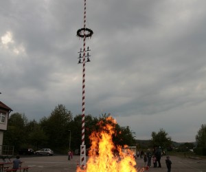 maibaum 2011 hgg