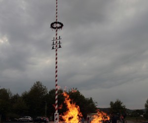 maibaum 2011 hgg
