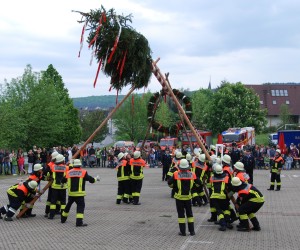 maibaum hd
