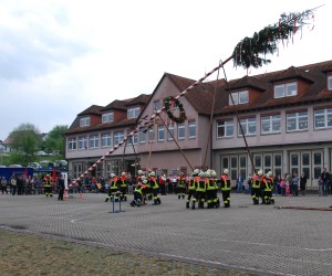 maibaum hd