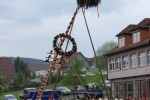 maibaum hd