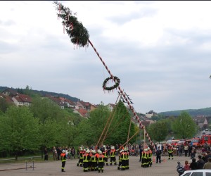 maibaum hd