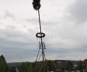 maibaum hd