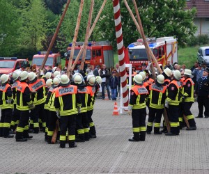 maibaum hd