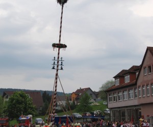 maibaum hd