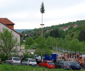 maibaum hd