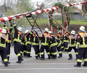 maibaum 2013