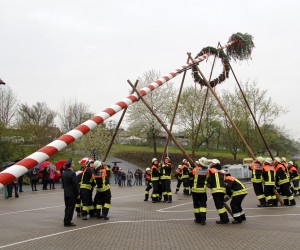 maibaum 2013