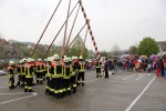 maibaum 2013