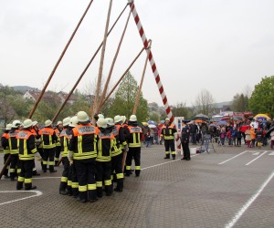 maibaum 2013