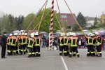 maibaum 2013