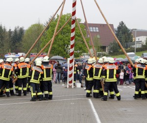 maibaum 2013