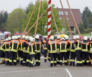maibaum 2013