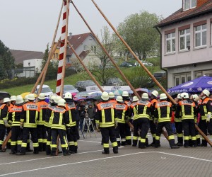 maibaum 2013