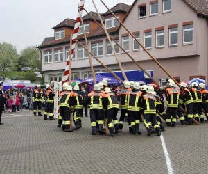 maibaum 2013