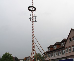 maibaum 2013