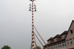 maibaum 2013