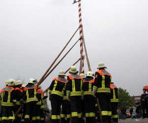 maibaum 2013