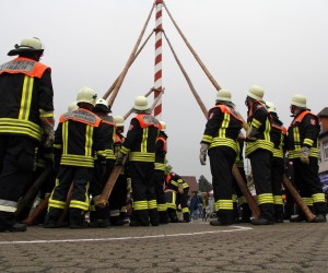 maibaum 2013