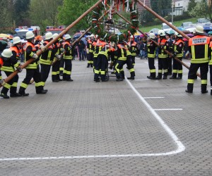 maibaum 2013