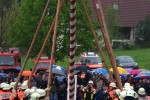 maibaum 2013