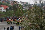 maibaum 2013