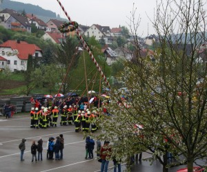 maibaum 2013