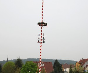 maibaum 2013