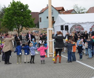 maibaum 2015   