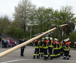 maibaum 2015