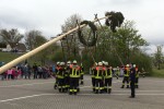 maibaum 2015