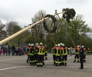 maibaum 2015