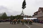 maibaum 2015