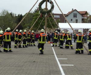 maibaum 2015