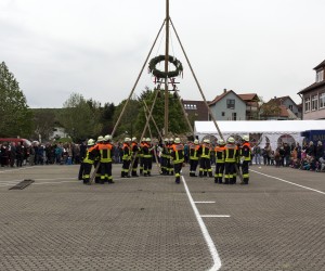 maibaum 2015