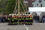 maibaum 2015