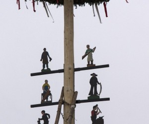 maibaum 2015