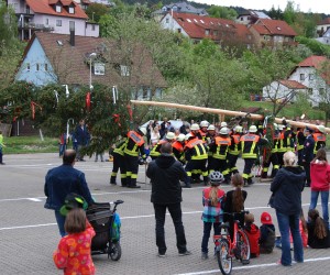 maibaum 2015