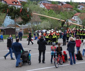 maibaum 2015