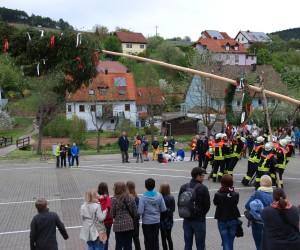 maibaum 2015