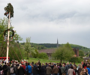 maibaum 2015