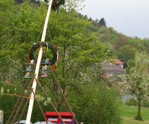 maibaum 2015