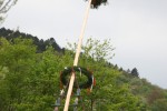 maibaum 2015