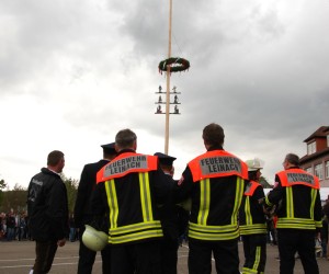 maibaum 2015