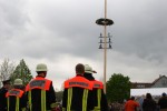 maibaum 2015