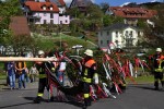 maibaum 300423