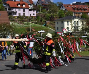 maibaum 300423